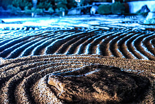 広島の月刊わしら：Withさんの美しき写真レポート